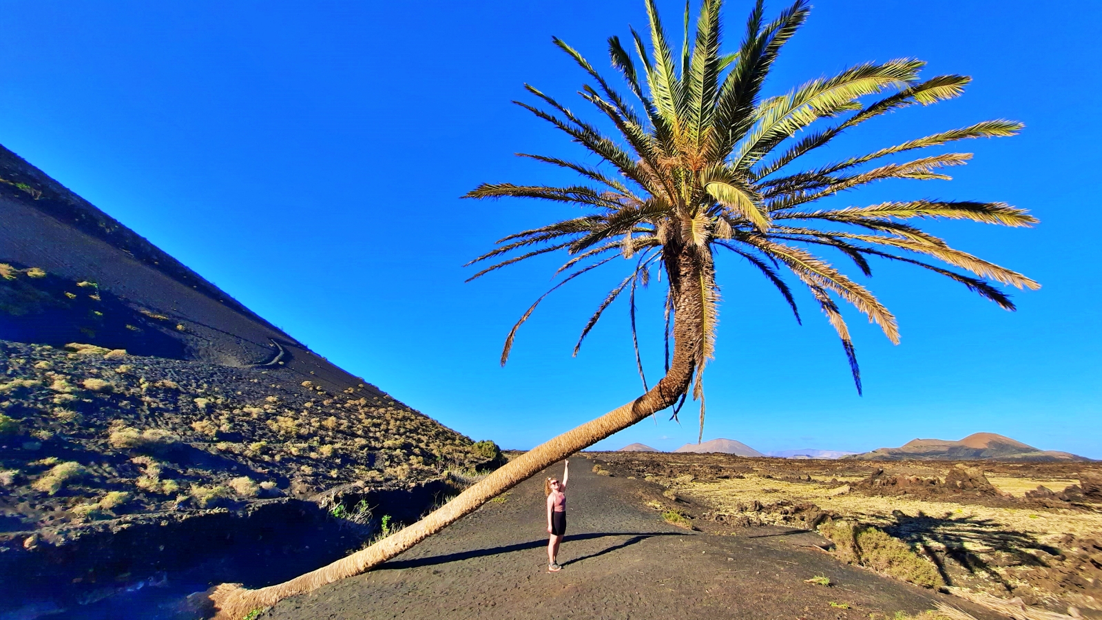 TULIVUORTEN LANZAROTE – KANARIAN RENNOIN LOMASAARI - Muu maa mandariini